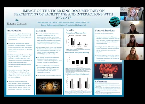Screen capture from research presentation