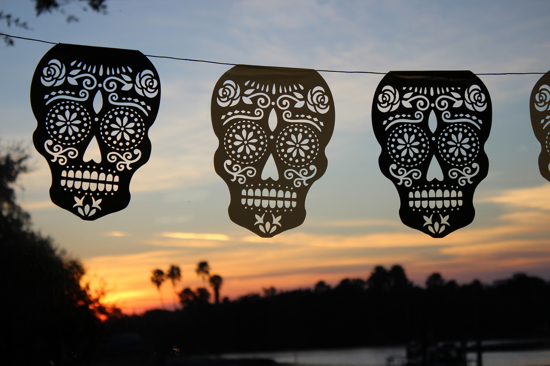 Paper skulls on a string with sunset and palm trees in the background
